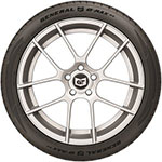 General Tire - G-Max RS image 4